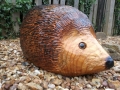 Hedgehog
