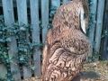 Wise Owl