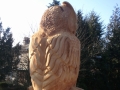 Eagle Owl