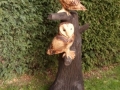 Barn Owls