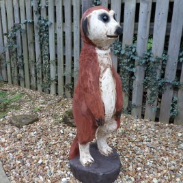 Meerkat