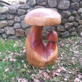 Double Mushroom